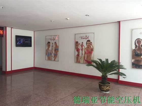 德國黛安芬內部